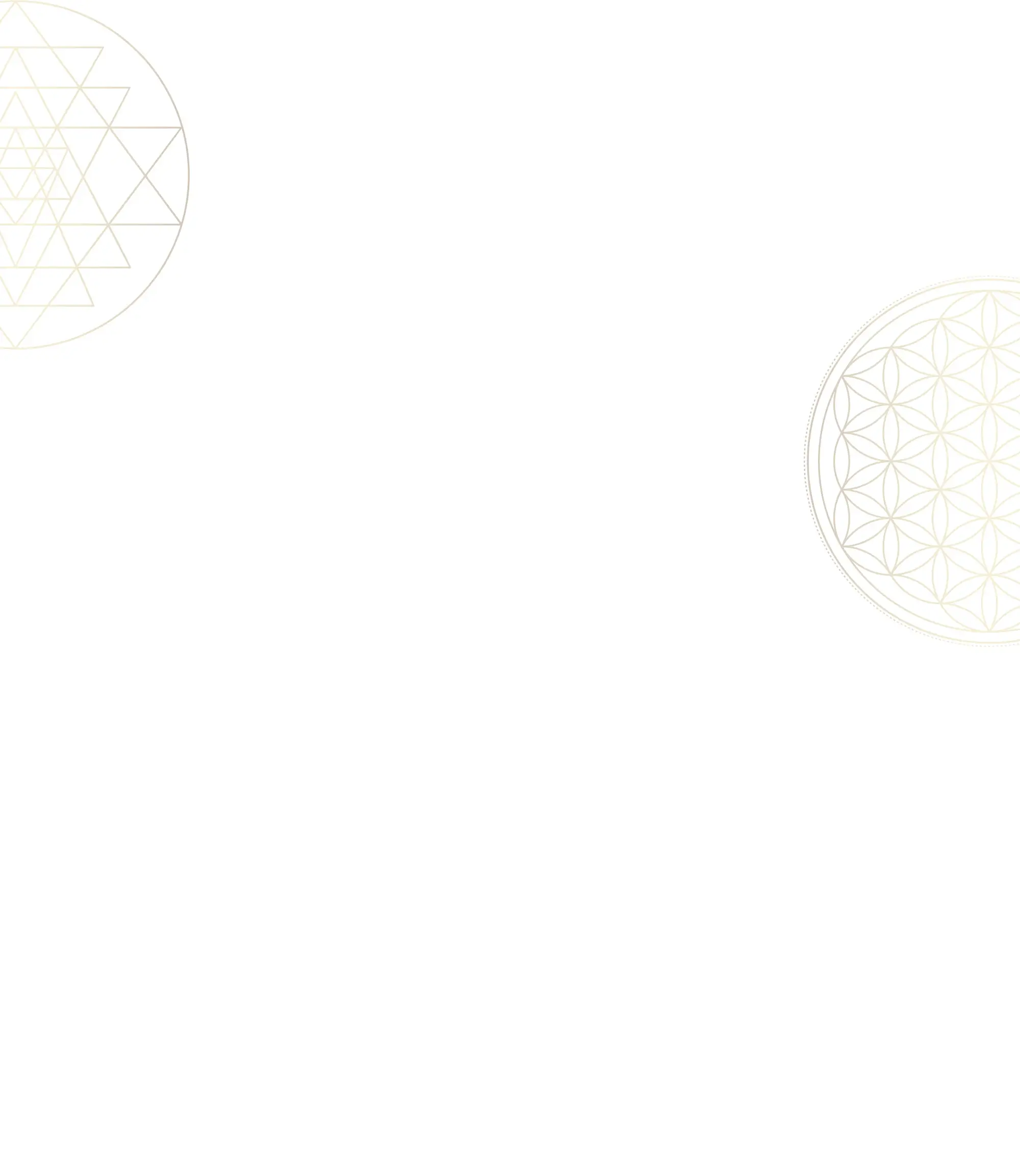 Premium mobile aura photography booth - Hollywood Aura Photography